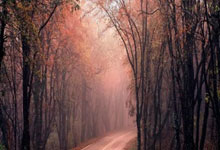 河北男篮不敌大连队，遭遇败绩