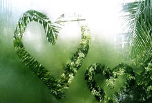 竞技对决中谁将脱颖而出备受关注